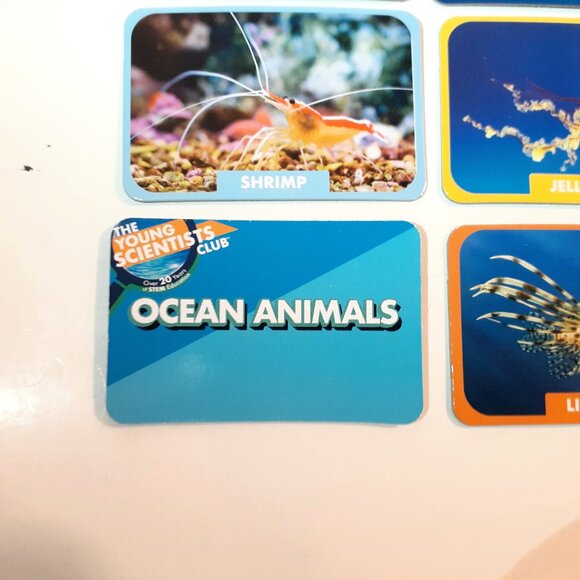 THE YOUNG SCIENTISTS CLUB - OCEANS ANIMAL GAMES - Picture 13 of 16